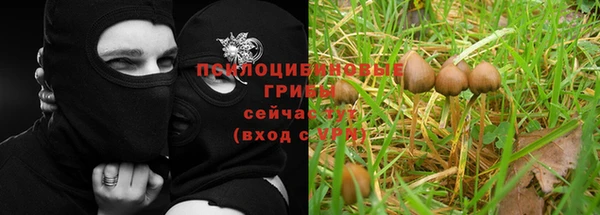 синтетический гашиш Бородино